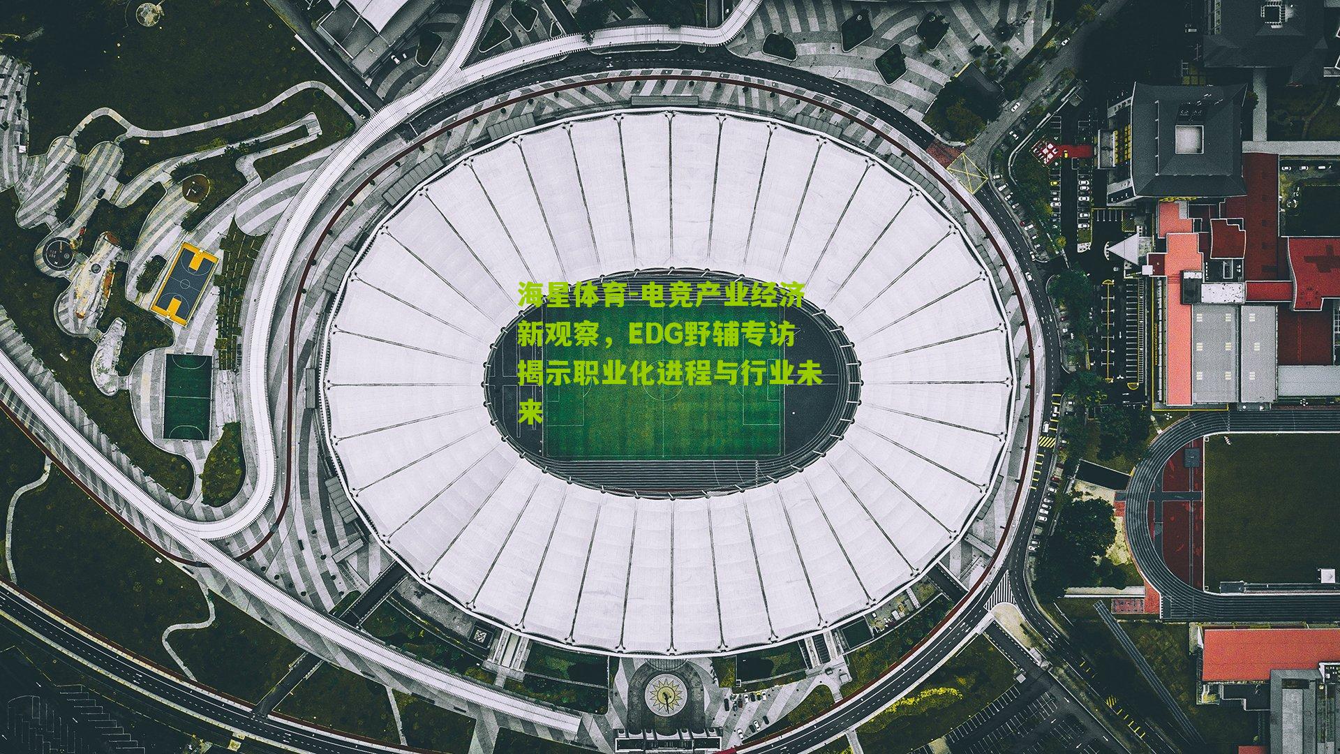 海星体育-电竞产业经济新观察，EDG野辅专访揭示职业化进程与行业未来