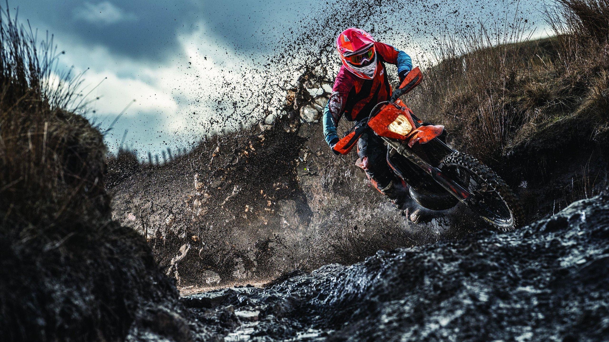 海星体育app下载_迈克-布朗谈布伦森，他应被纳入最有价值球员讨论范围，完全配得上