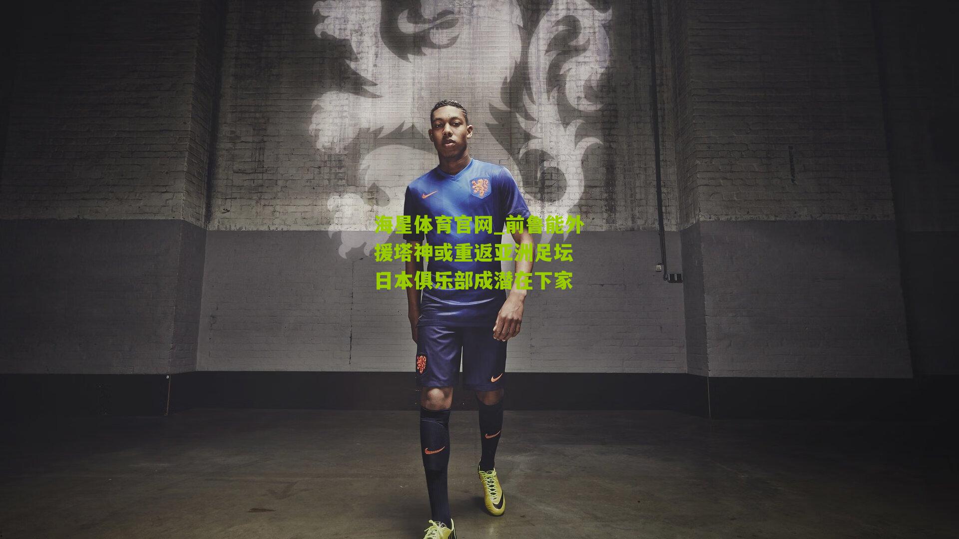 海星体育官网_前鲁能外援塔神或重返亚洲足坛 日本俱乐部成潜在下家